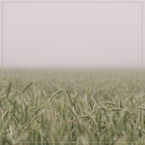 俄罗斯大毛逼AⅤ女优黄色录像
